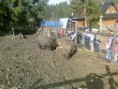 /album/turisticky-kruzok-krpacovo-2-4-2011/fotografia0064-jpg/