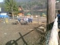 /album/turisticky-kruzok-krpacovo-2-4-2011/fotografia0065-jpg/